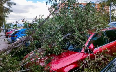 Tempête Ciaran : l’État vole au secours des entrepreneurs