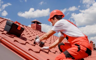 Vente immobilière : quand une information (déterminante ?) est dissimulée par le vendeur…