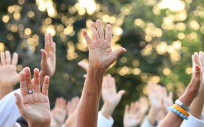 Abus de majorité : tous d’accord, c’est quand même abusif ?