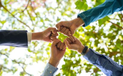 Économie sociale et solidaire : quel dispositif de partage de la valeur ?