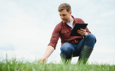 Aide complémentaire au revenu pour les jeunes agriculteurs : quel montant pour 2023 ?