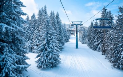 Règle de taxation sur les camions pick-up : ça dépend…