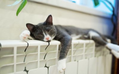 Immeuble collectif et chauffage collectif : un réglage précis