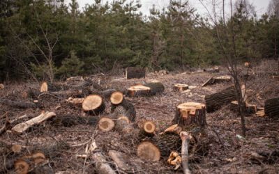 Association : illustration pratique de la notion d’intérêt à agir