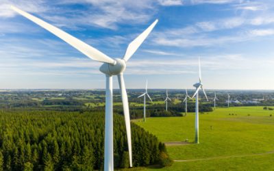 Contrôle fiscal : quand un couple s’estime mal informé !