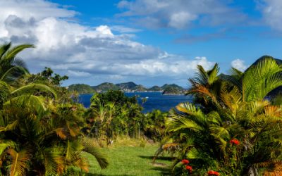 Outre-mer : les nouveautés 2024 (fiscales et sociales) à connaître