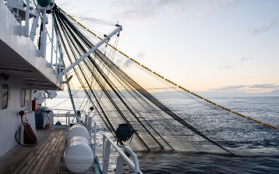 Pêcheurs : le point sur les nouveautés de l’année 2024