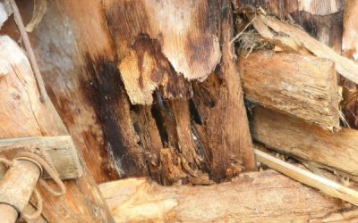 Garantie des vices cachés et immobilier : cas vécu…