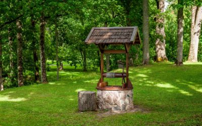 Quand un boulanger est dans le pétrin à cause de l’eau du puits…
