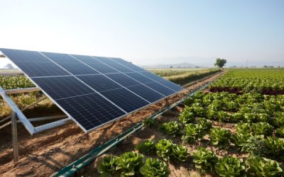 Agrivoltaïque : le cadre est posé