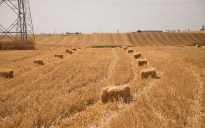 Un exploitant agricole… qui ne l’est pas vraiment ?
