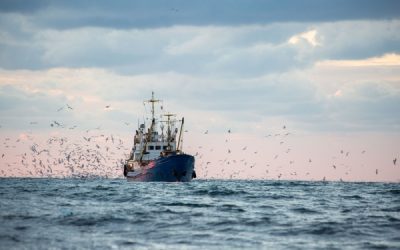 Aide financière liée au carburant : séance de rattrapage pour les entreprises de pêche