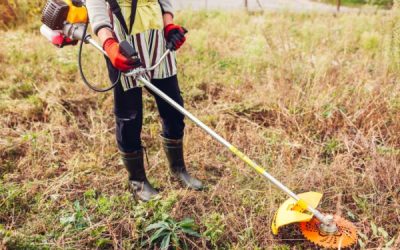Incendies de forêt : plus d’informations pour une meilleure prévention !