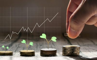 Plan d’épargne avenir climat : disponible au 1er juillet 2024