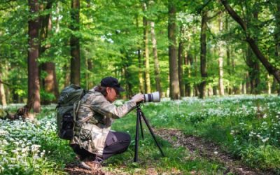 Photographe professionnel : attention au taux de TVA applicable !