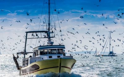 Création d’une aide pour la trésorerie des entreprises de pêche