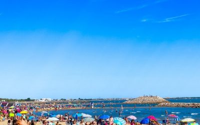 Congés payés : du nouveau pour les artisans, les transporteurs et les entreprises du spectacle