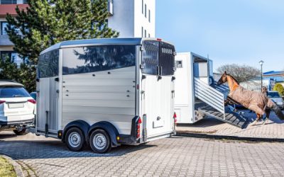 Véhicules dédiés au transport de chevaux : une déduction de TVA bien scellée !