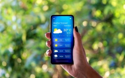 Établissement public administratif : un partenaire d’affaires comme les autres ?