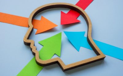 Loi sur les troubles du neuro-développement (TND) : diagnostic, accompagnement et inclusion au programme