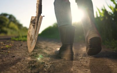 Crédit d’impôt « Haute Valeur Environnementale » : plutôt deux fois qu’une ?