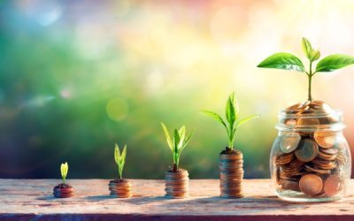 Plan d’épargne avenir climat : du nouveau concernant les obligations déclaratives