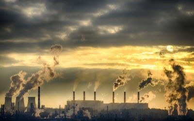 Taxe sur les activités polluantes : prolongation de l’exclusion de certains déchets