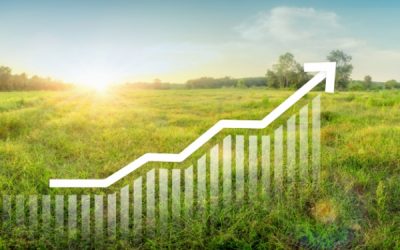 Taxe sur la cession à titre onéreux d’un terrain nu devenu constructible : du nouveau pour 2025 !