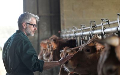 MHE : un délai supplémentaire pour demander ses aides