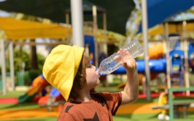 Contenants alimentaires et santé : la lutte contre le plastique continue !