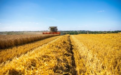 Secteur agricole : ce qui va changer en 2025