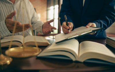 Cyclone Chido à Mayotte : des mesures d’urgence pour soutenir les entreprises