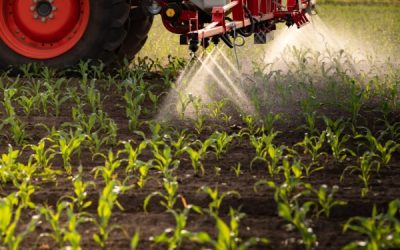 Certiphytos : nouvelle prolongation de la durée de validité