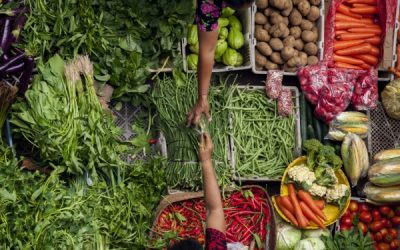 Loi sur la stabilité économique et la compétitivité du secteur agroalimentaire : quelles nouveautés ?