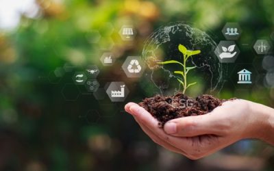 Agriculture : aides financières et respect de l’environnement