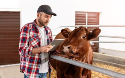 Agriculture : point sur la situation