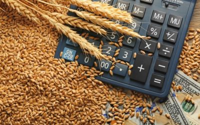 Coopératives agricoles d’approvisionnement : toujours exonérées d’impôt sur les sociétés ?