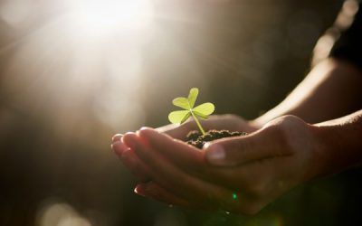 Agriculture : précisions sur l’éligibilité aux ICHN