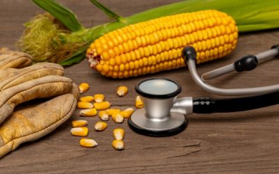 Travailleurs agricoles : bientôt du nouveau en matière de suivi de l’état de santé !