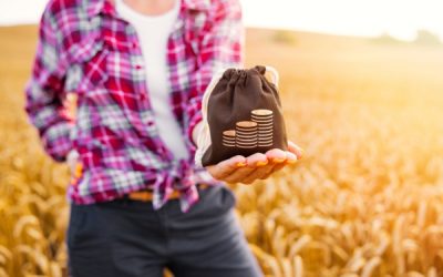 Agriculture : précisions sur de nombreuses aides