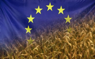 Aides de la PAC : des sanctions précisées