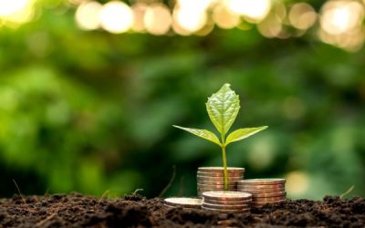 Prise en charge des cotisations sociales par la MSA : assouplissement de la procédure