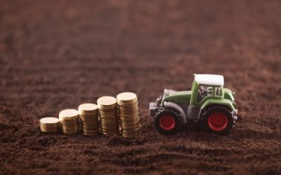 Agriculture : le points sur les aides en octobre 2025