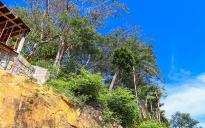 Mayotte : de nouvelles dérogations pour accélérer la reconstruction