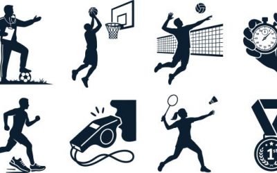 Organisation, gestion et financement du sport professionnel : réforme en cours