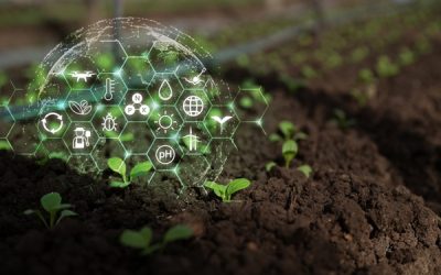 Agriculture : qui pilote la stratégie nationale d’installation et de transmission ?
